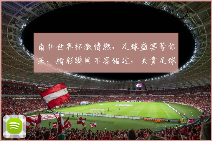 南非世界杯激情燃，足球盛宴等你来，精彩瞬间不容错过，共赏足球魅力