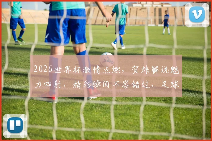 2026世界杯激情点燃，贺炜解说魅力四射，精彩瞬间不容错过，足球盛宴共分享