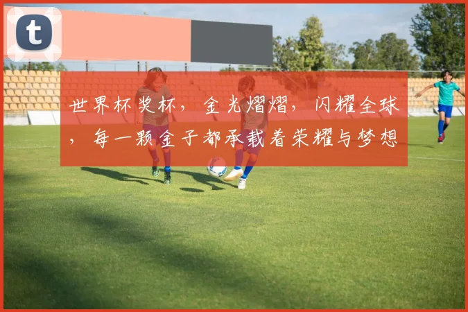 世界杯奖杯，金光熠熠，闪耀全球，每一颗金子都承载着荣耀与梦想。