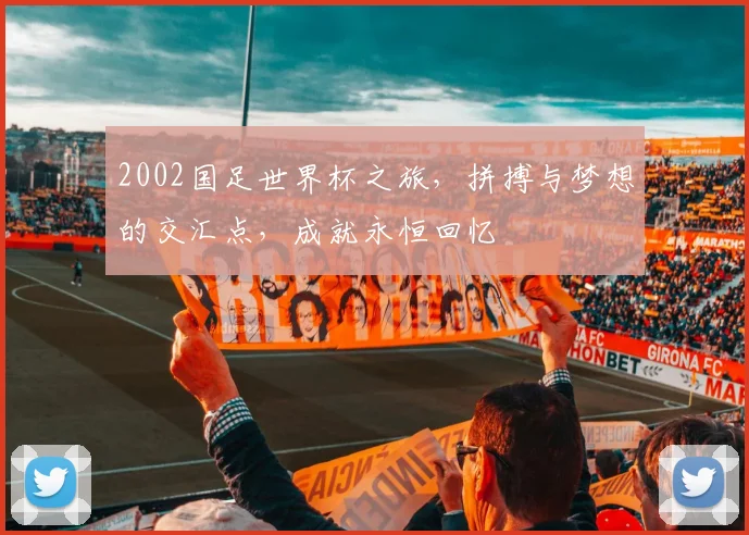 2002国足世界杯之旅，拼搏与梦想的交汇点，成就永恒回忆