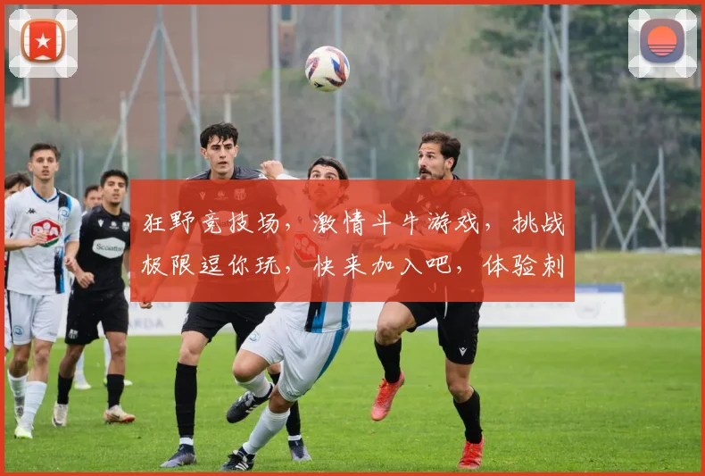 狂野竞技场，激情斗牛游戏，挑战极限逗你玩，快来加入吧，体验刺激