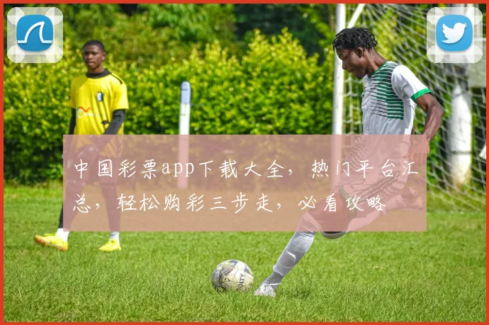 中国彩票app下载大全，热门平台汇总，轻松购彩三步走，必看攻略