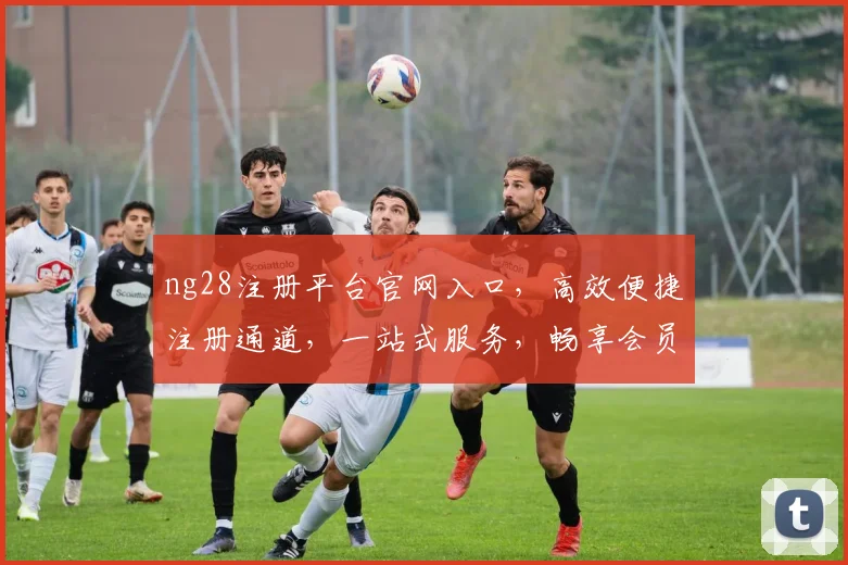 ng28注册平台官网入口，高效便捷注册通道，一站式服务，畅享会员权益三重礼